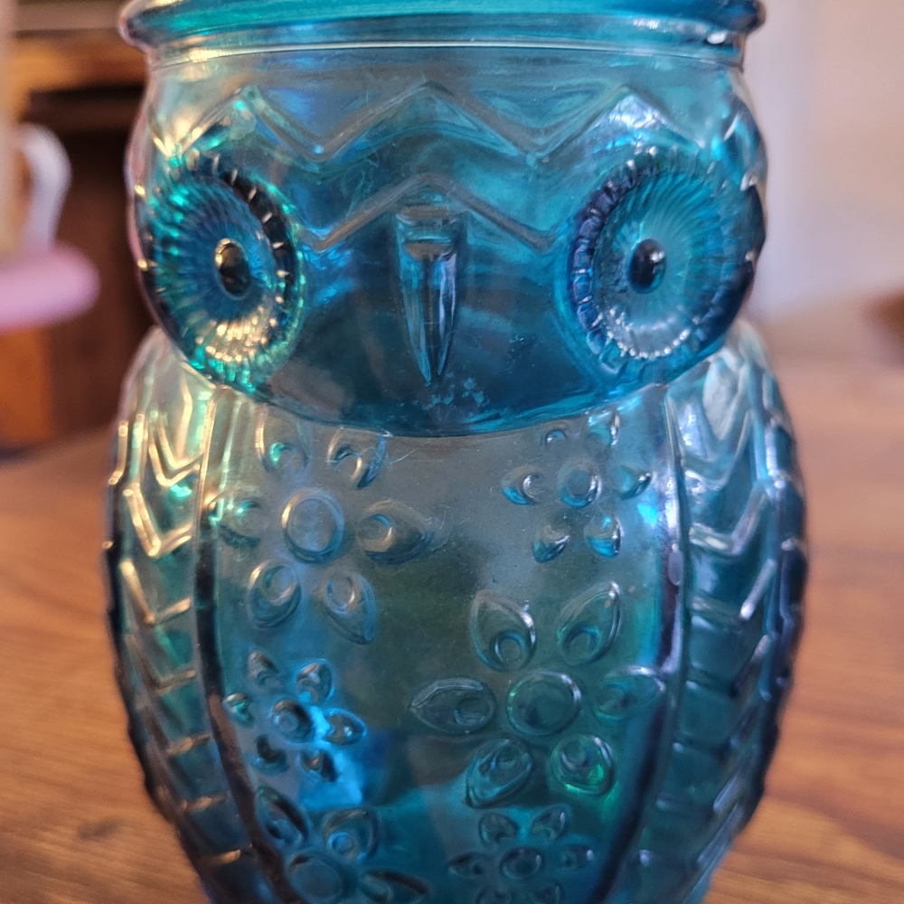 Blue Owl Glass Jar